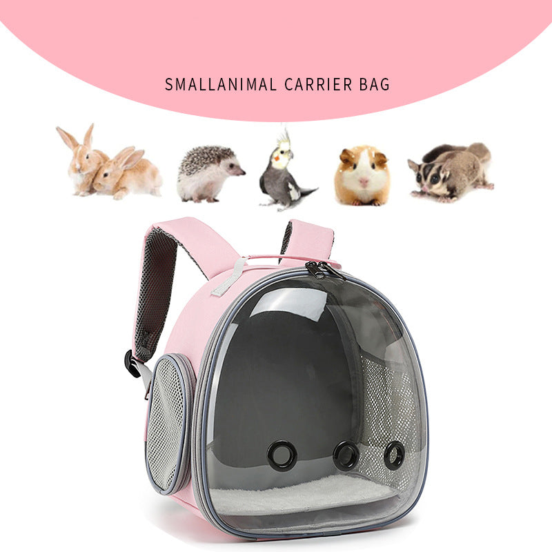 Transparent Cat Carrier Backpack for Small Animals Travel Bag