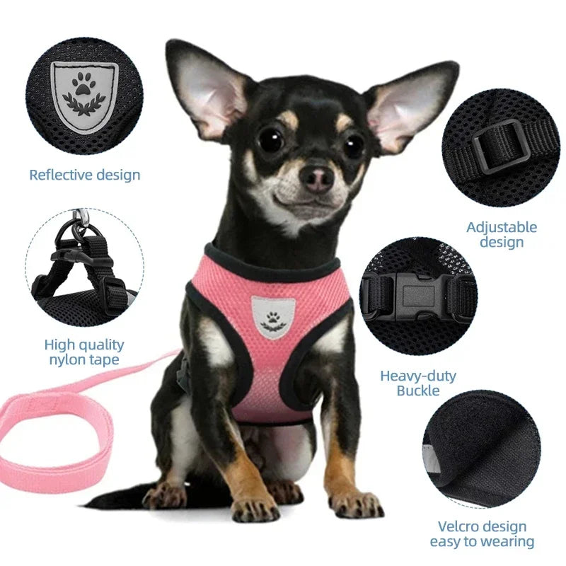 Adjustable Cat Harness with Leash – Soft Breathable Vest