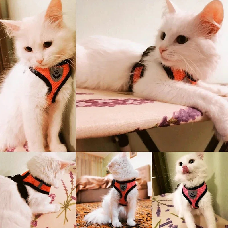 Adjustable Cat Harness with Leash – Soft Breathable Vest