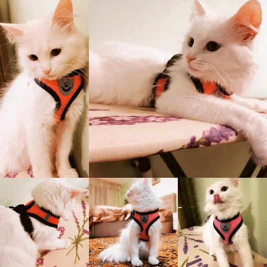 Adjustable Cat Harness with Leash – Soft Breathable Vest