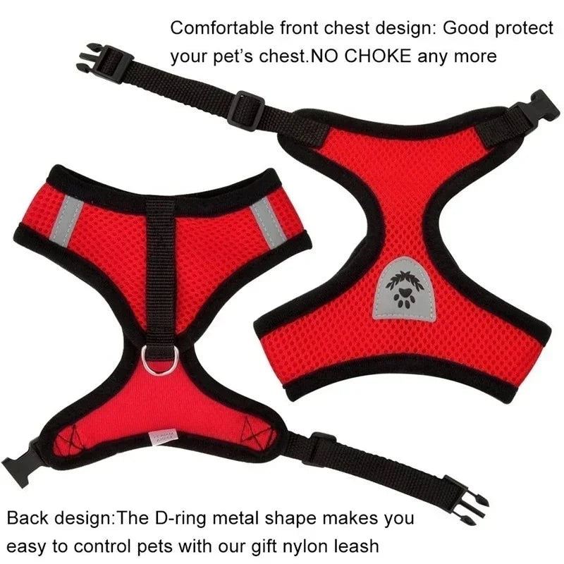 Adjustable Cat Harness with Leash – Soft Breathable Vest