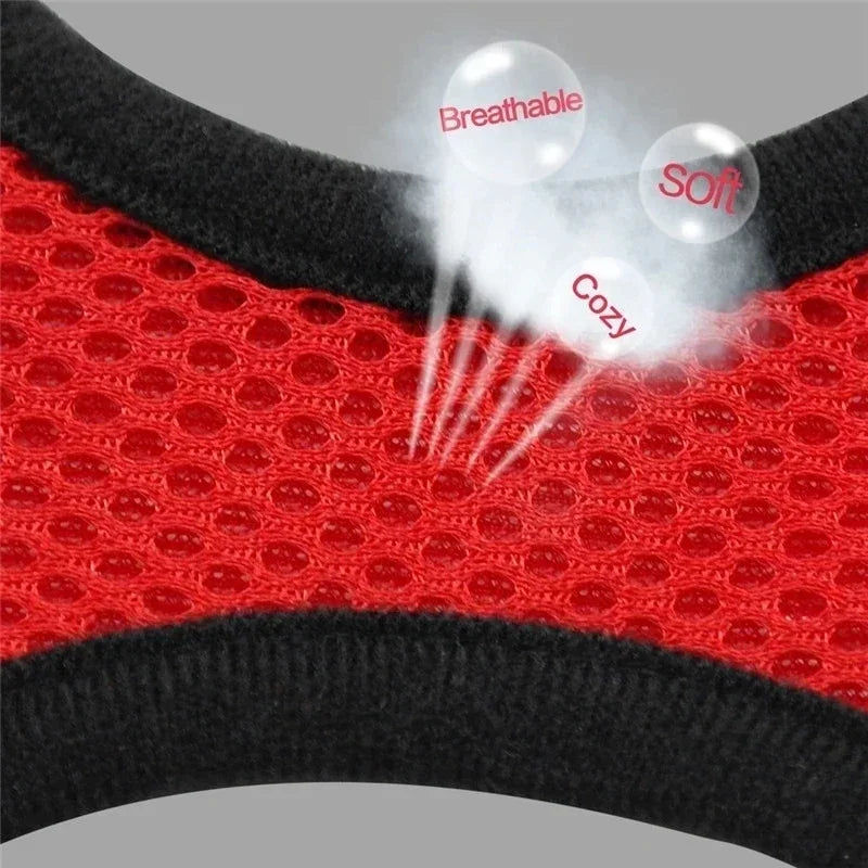 Adjustable Cat Harness with Leash – Soft Breathable Vest