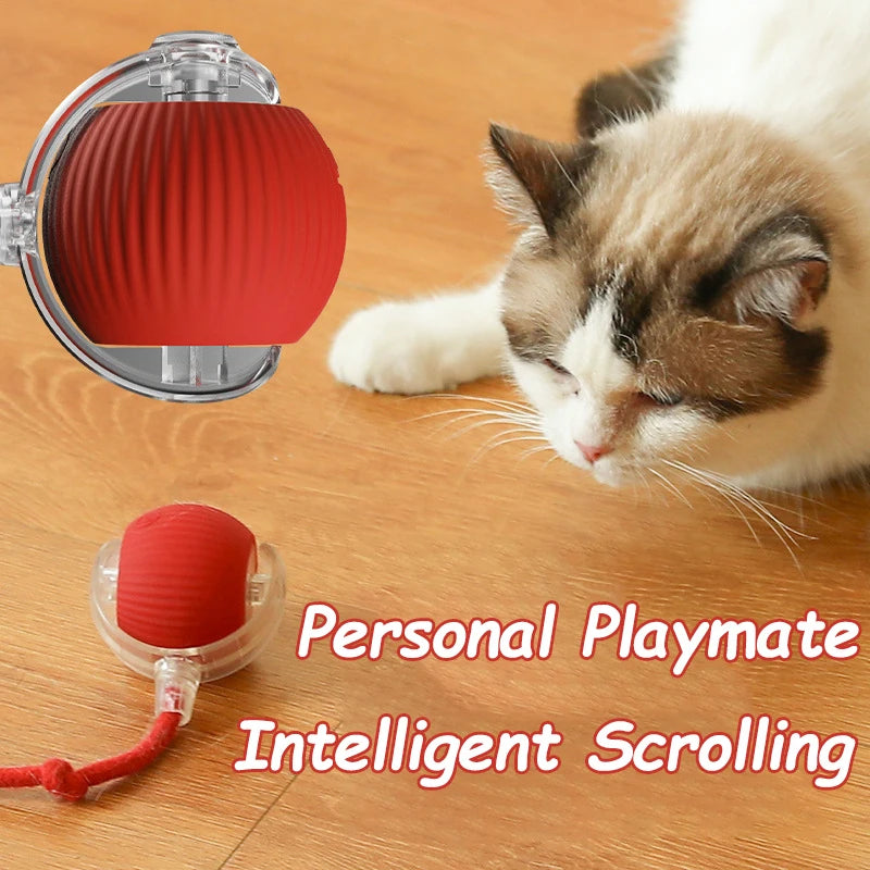 Smart Interactive Cat Toy Ball – Automatic Rolling Rechargeable Toy