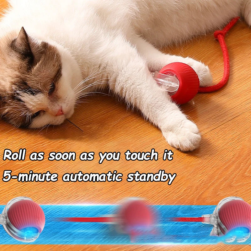 Smart Interactive Cat Toy Ball – Automatic Rolling Rechargeable Toy