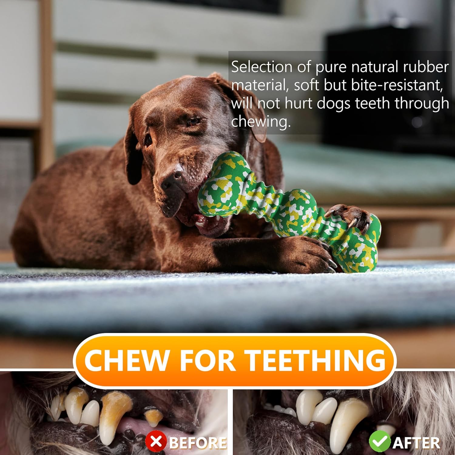 Durable natural rubber dog toy for large breed dogs