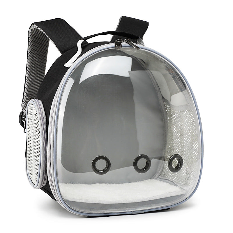 Transparent Cat Carrier Backpack for Small Animals Travel Bag