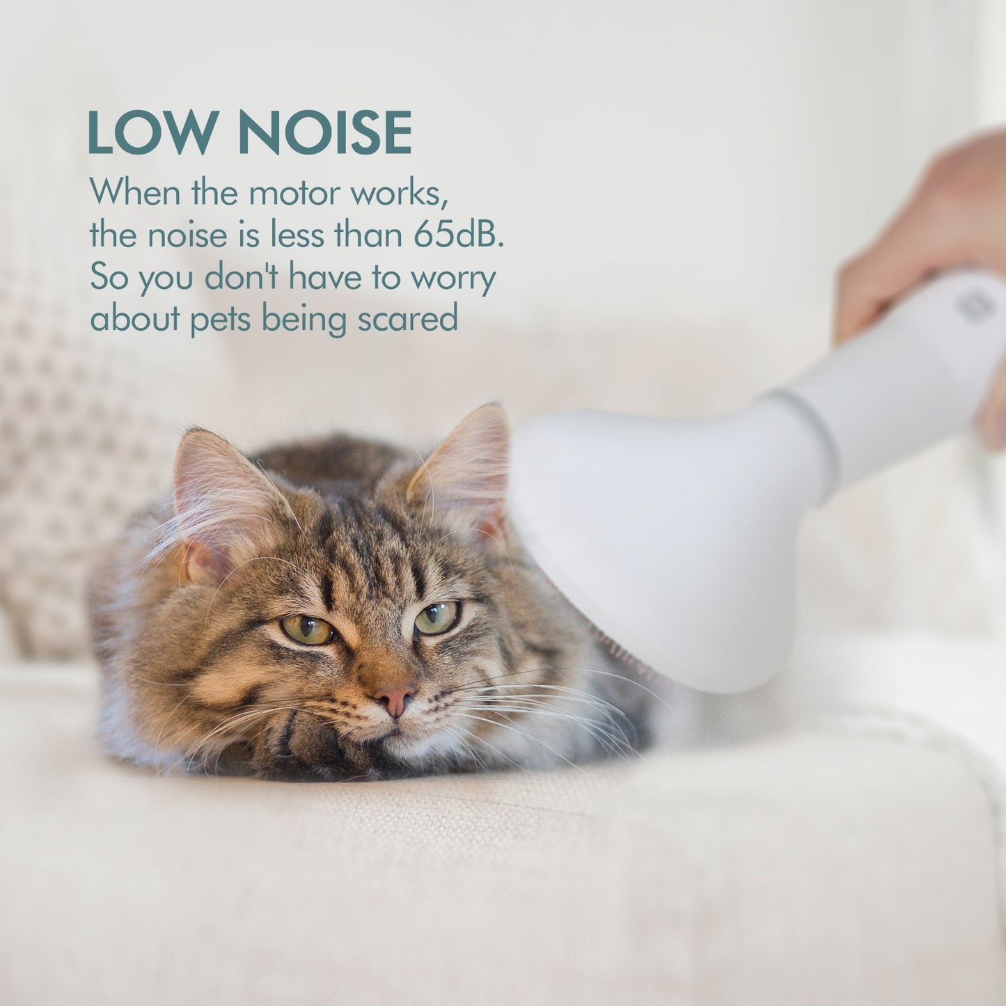 2-in-1 Pet Hair Dryer Brush for Dogs – Low Noise Grooming