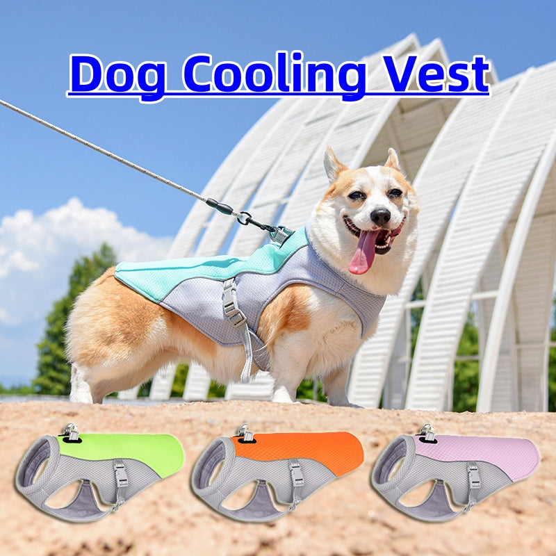 Dog wearing cooling vest in summer heat