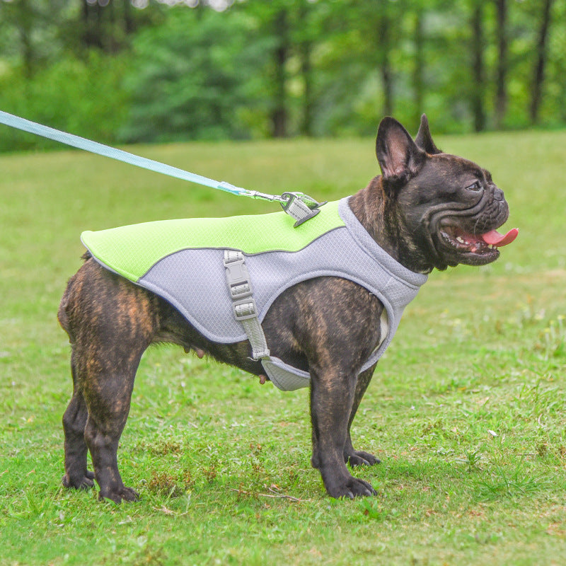 Dog heat relief vest for hot weather protection
