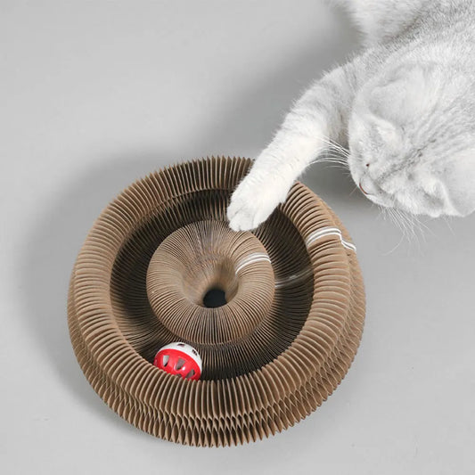 expandable cat scratcher bed with interactive ball toy