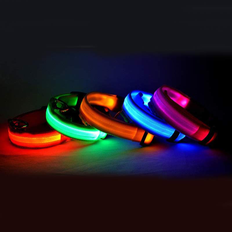 LED dog collar glowing at night for safety