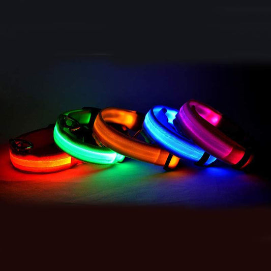 LED dog collar glowing at night for safety