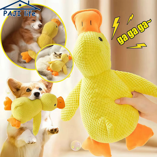 Plush duck squeaky dog toy for chewing